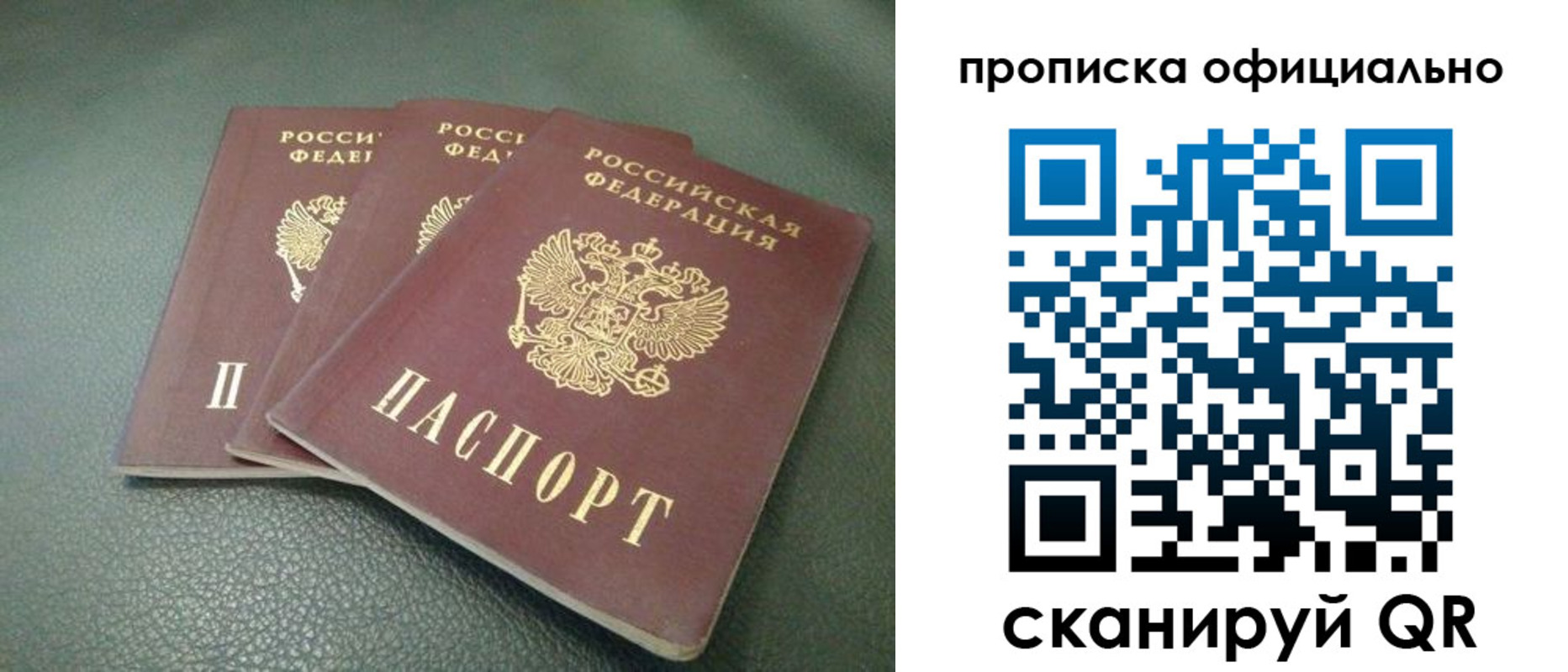 прописка для школы в Курской области