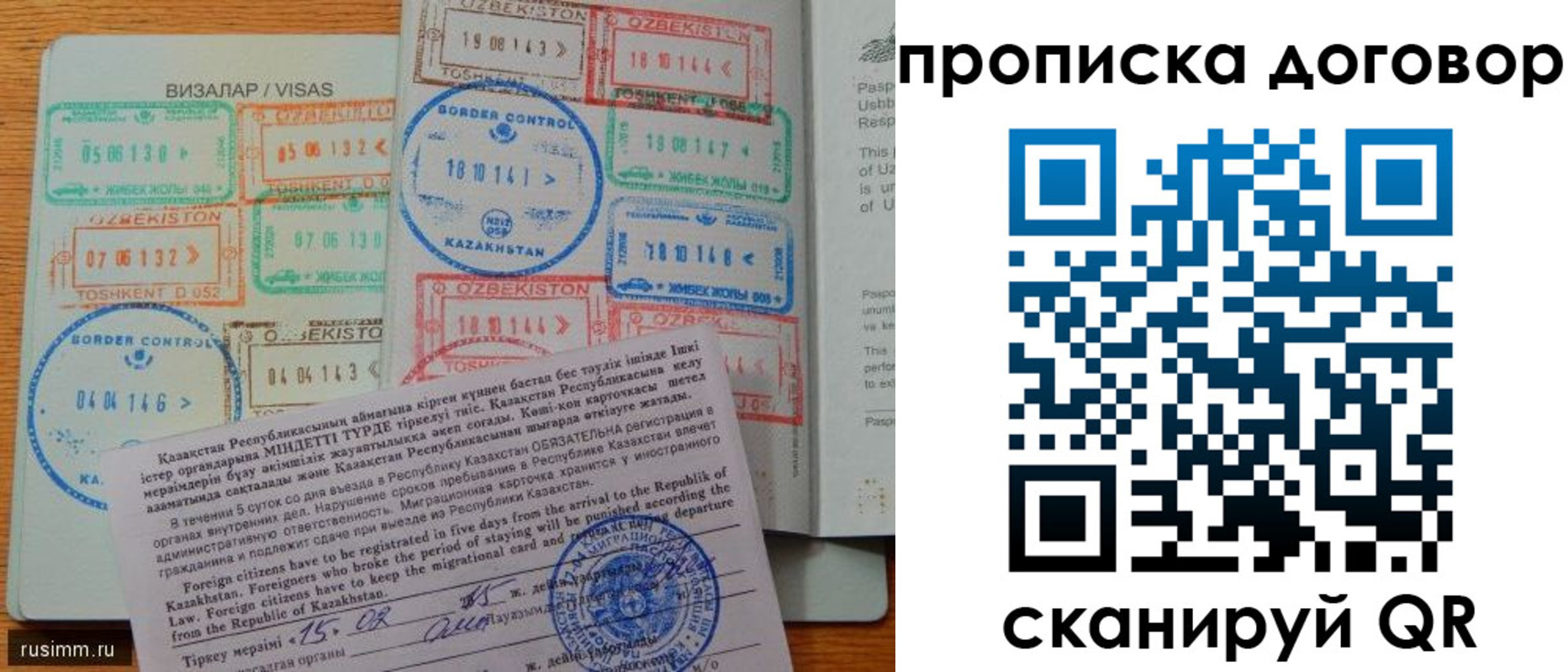 прописка в Курской области